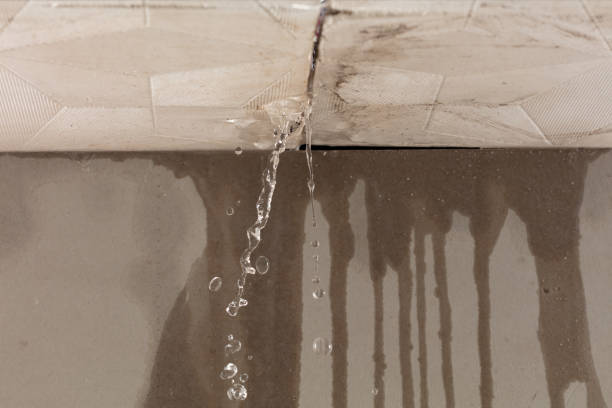 Professional Structural Drying technician working in Henrietta, MO